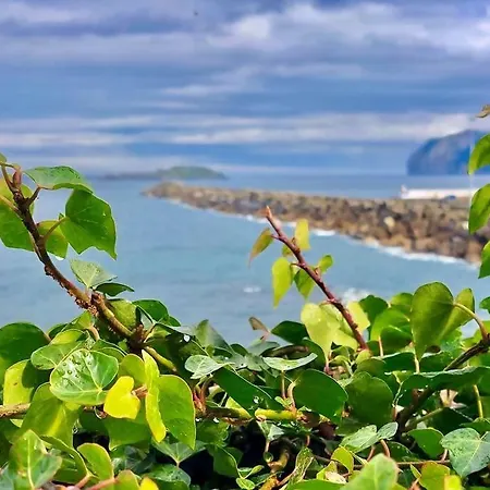 Andra Mari Ii Piso Totalmente Reformado * بيرميو